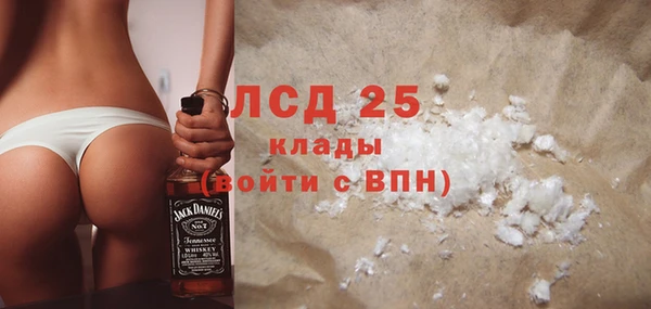 сатива Беломорск