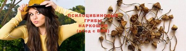 СК Белокуриха
