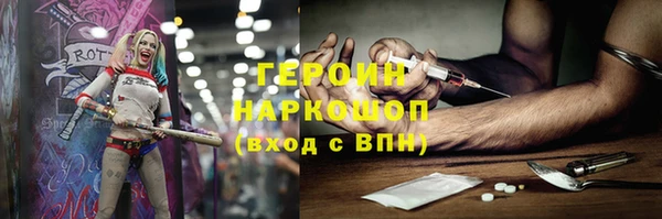 сатива Беломорск