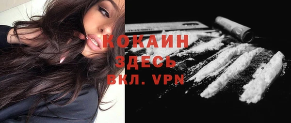 индика Елабуга