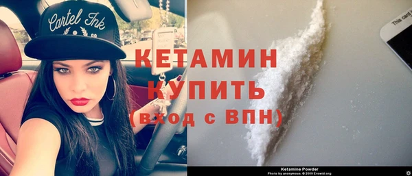сатива Беломорск