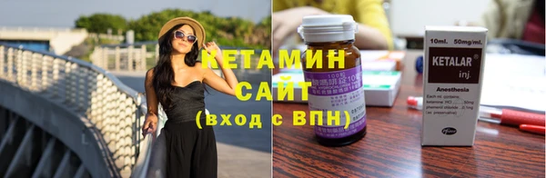 сатива Беломорск