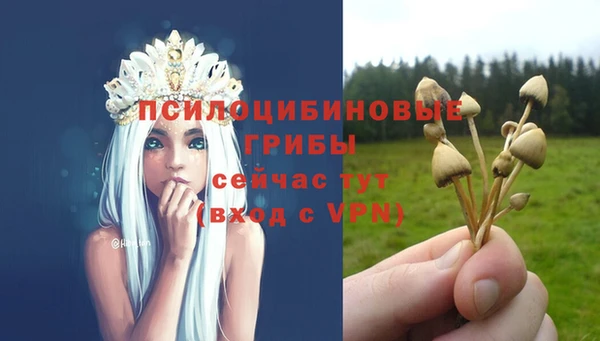 СК Белокуриха
