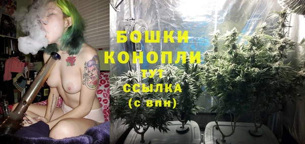 СК Белокуриха