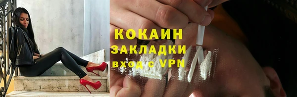 сатива Беломорск