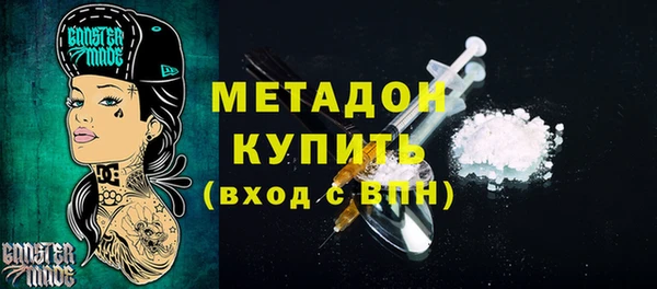 сатива Беломорск